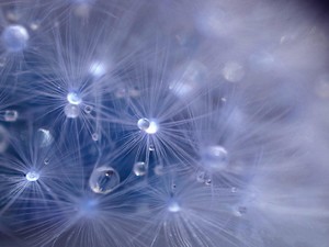 安卓春天版2.0春天盒子安卓9专用-第2张图片-太平洋在线下载