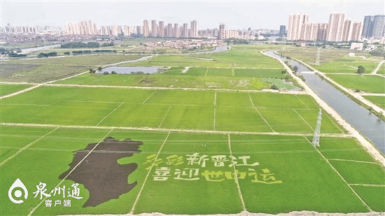 晋江客户端电脑晋江电脑网页版入口-第1张图片-太平洋在线下载